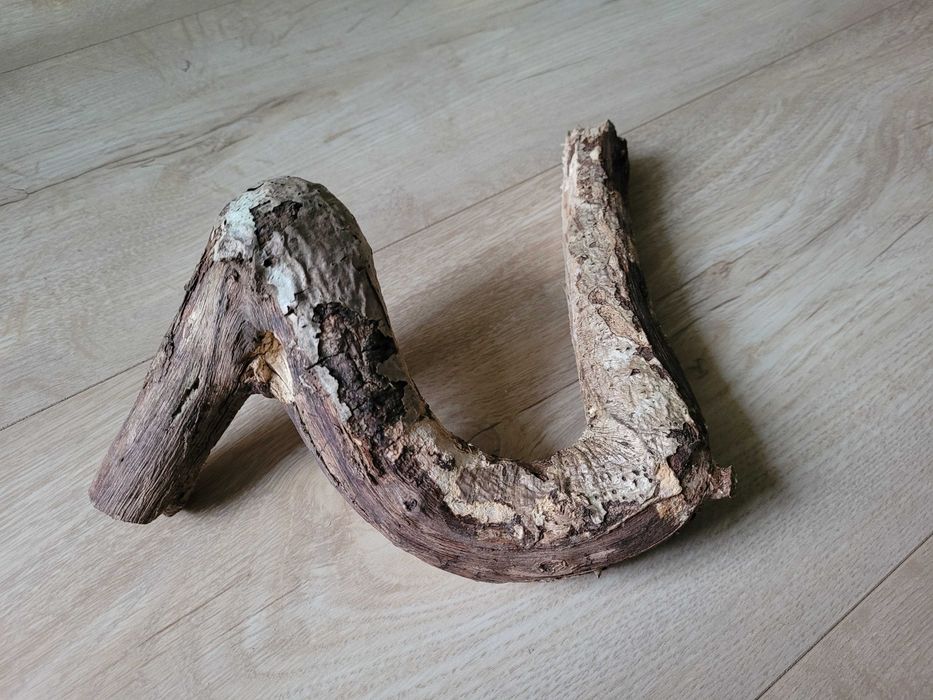 korzeń 23cm dodatek do akwarium / terrarium