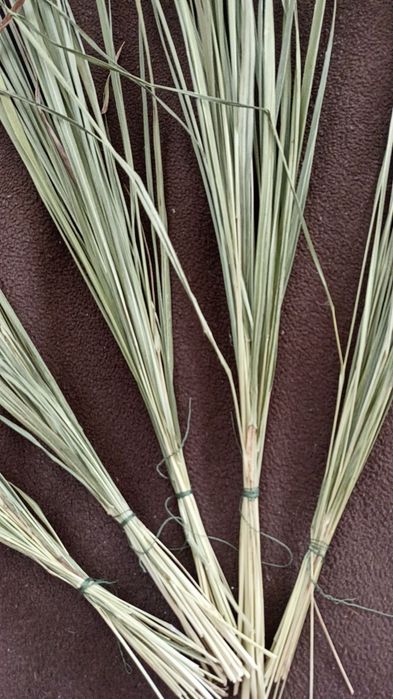 Горіхові перетинки, трава зубрівка