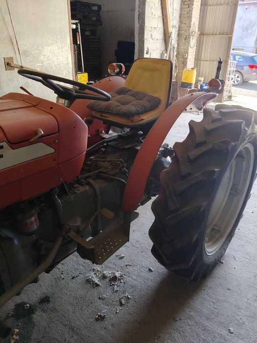 Ciągnik mf135 sadowniczy