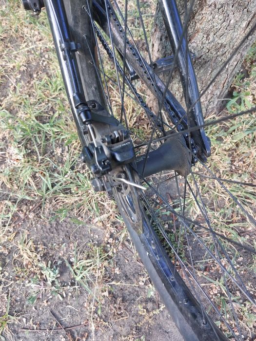 Rower Dirt custom