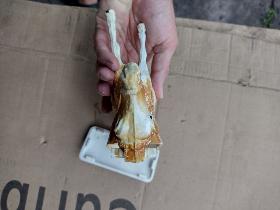 Сувенір СССР ослик осел пластиковий механическая нажимая на уши СРСР