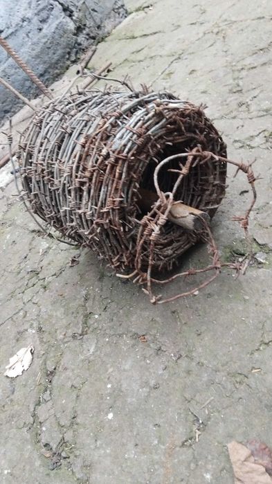 Продам бухту колючей проволоки