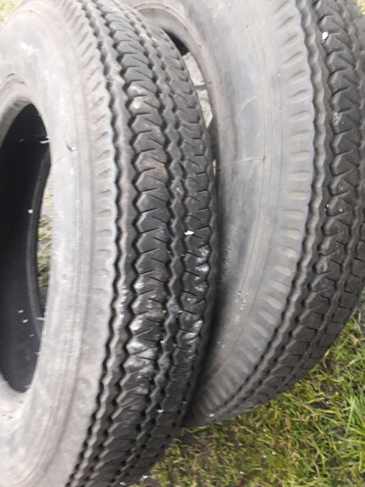 opona stomil 5.60 15 siewnik poznaniak