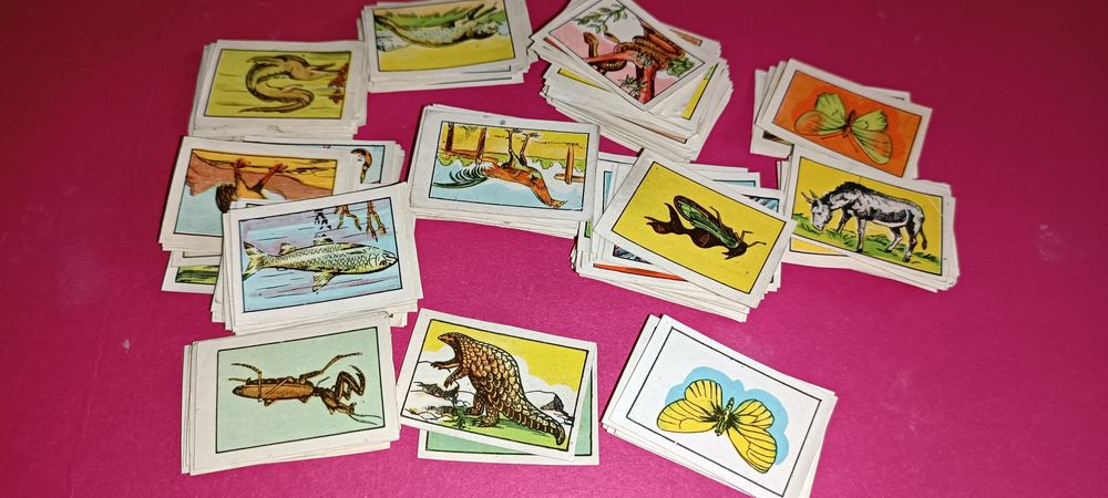 Antigos cromos da coleção zoologia 1 série