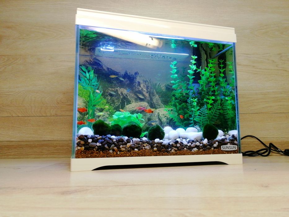ЧУДОВИЙ ПОДАРУНОК | АКВАРІУМ з рибками SunSun 18л "Під ключ"