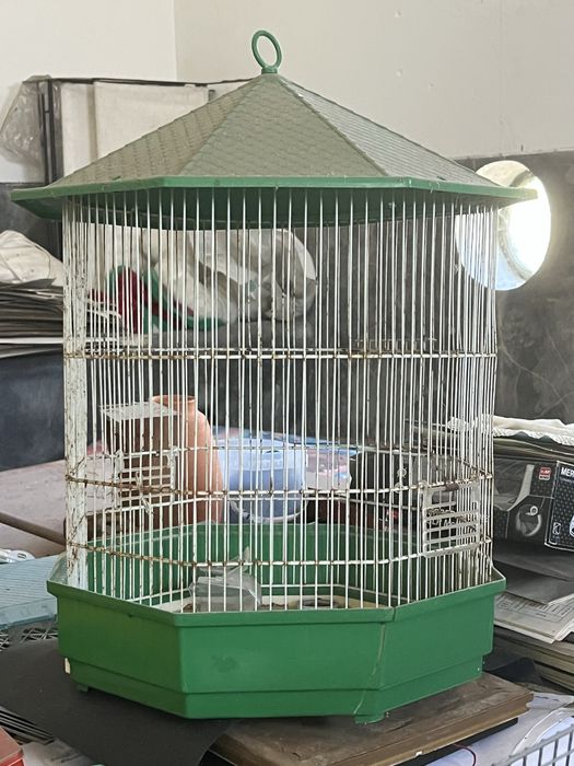 Conjunto de 5 gaiolas para aves canoras