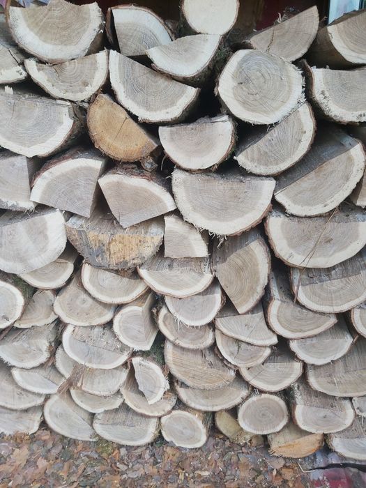 Drewno kominkowe doąb