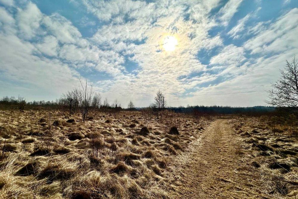 Продаж / Земля сільгосппризначення / Солонка
