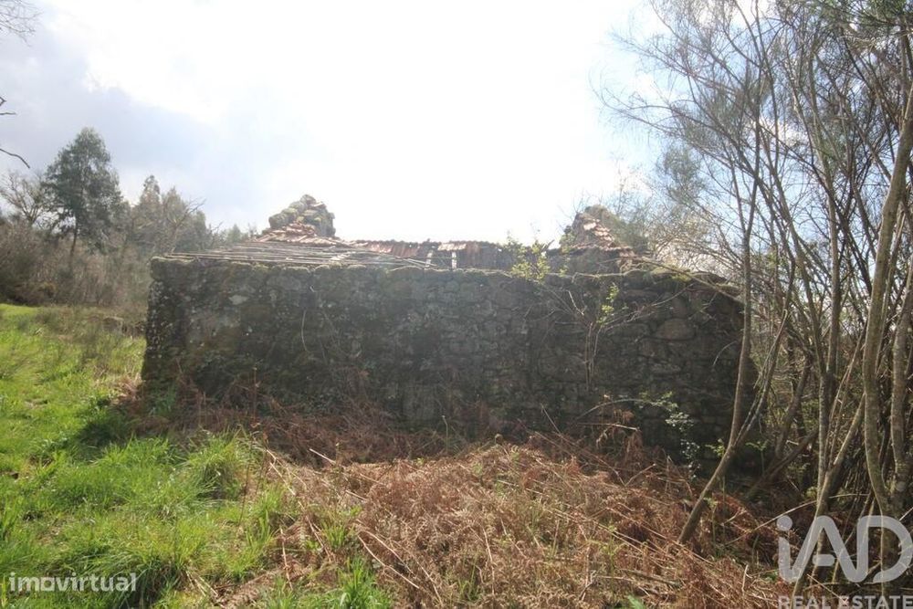 Casa rústica em Cambra e Carvalhal de Vermilhas de 3971 m2