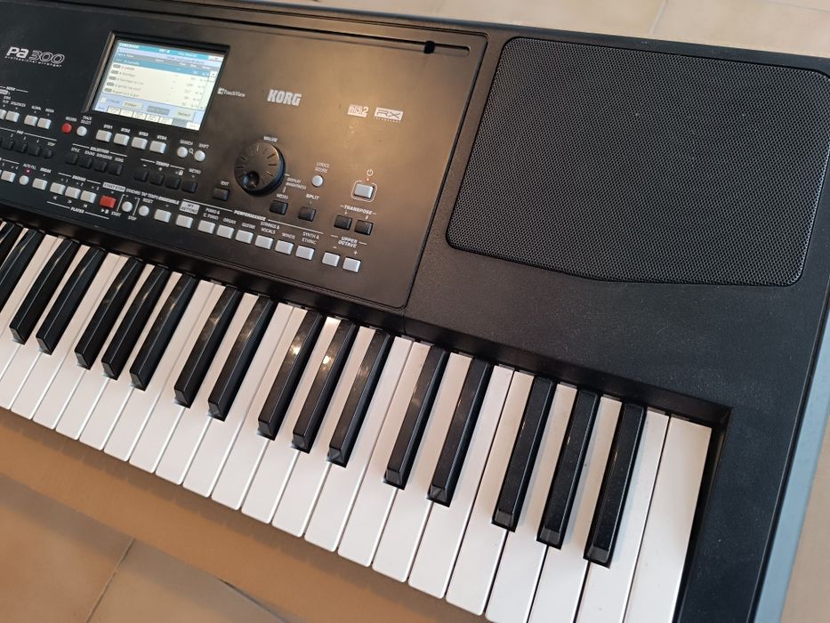 Teclado Korg PA 300
