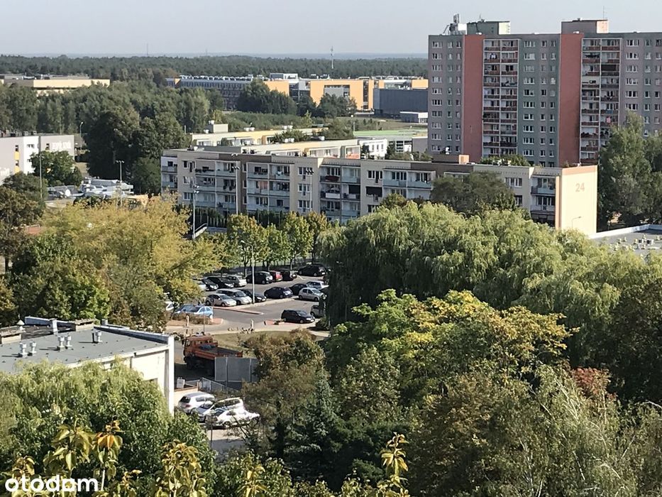 Mieszkanie 3-pokojowe w Poznaniu przy UAM- dla rodziny lub Inwestora