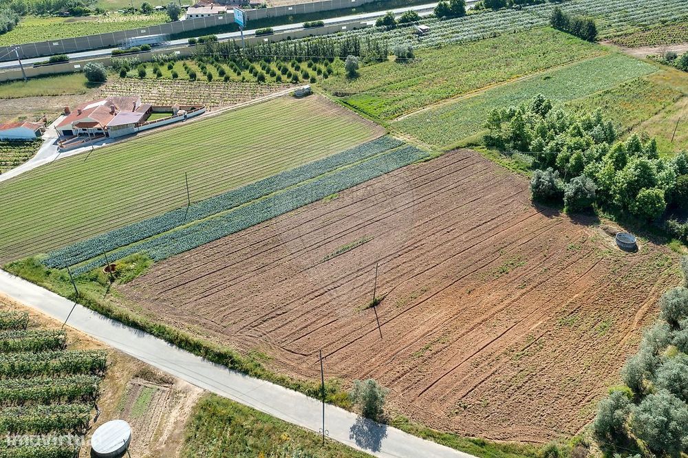 Terreno  para venda