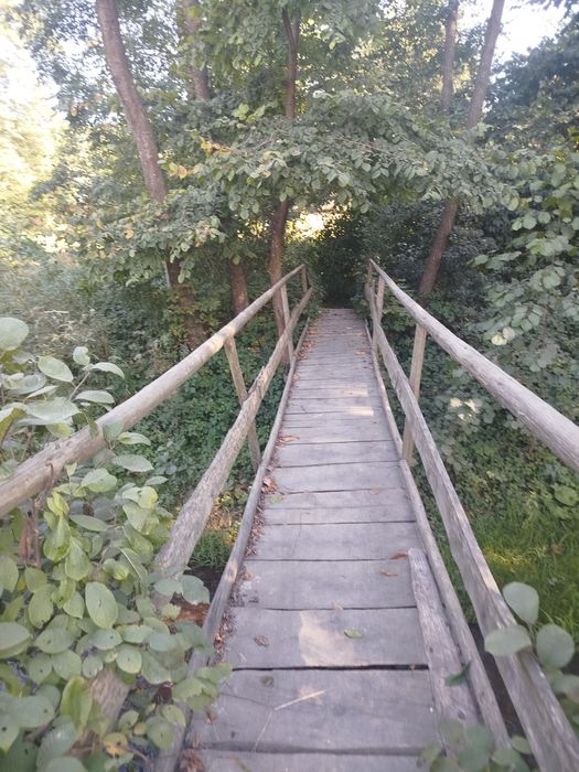 Будинок, ставок, земля біля Карпат, річка, ліс