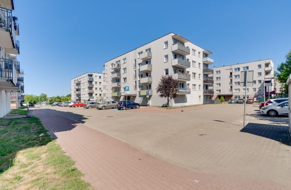 Zdjęcie 8