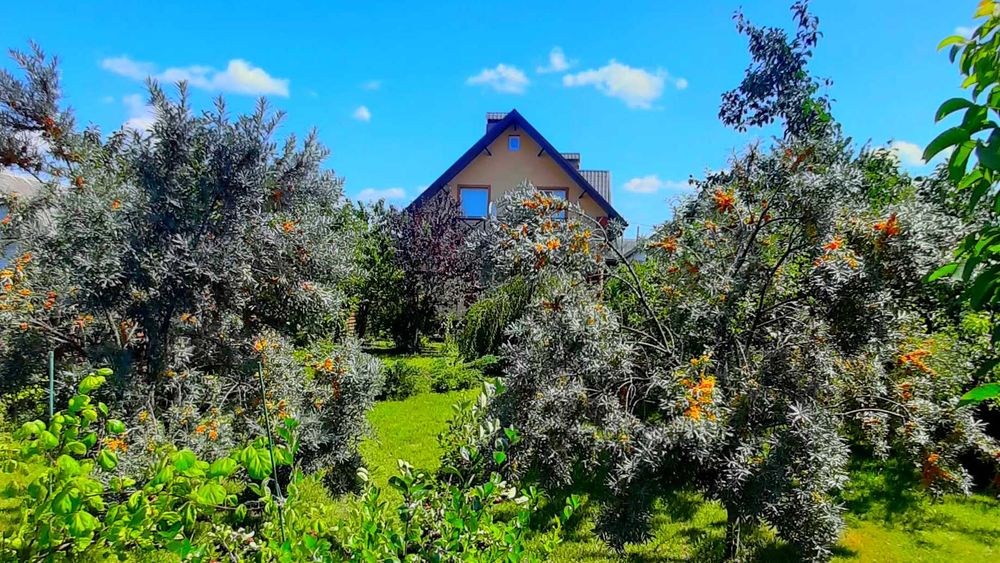 Продам будинок в Плесецькому.  162м.кв.