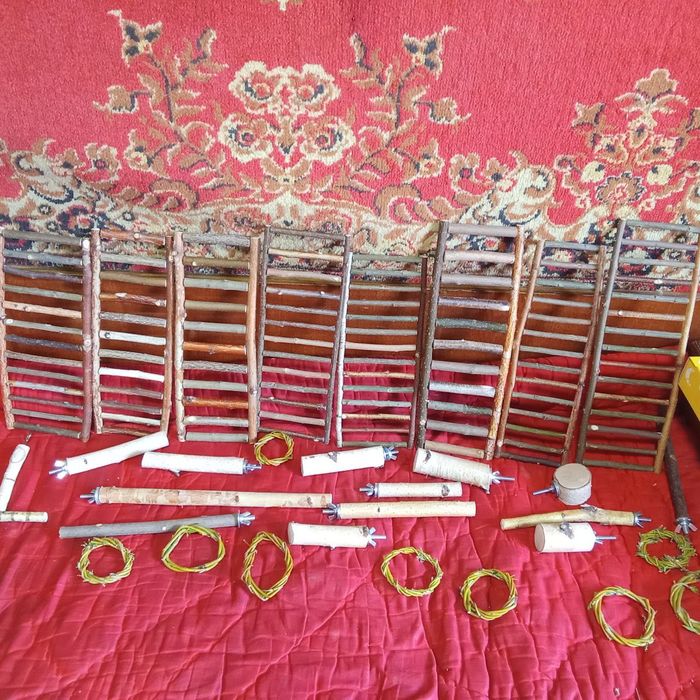 Домашним питомцам