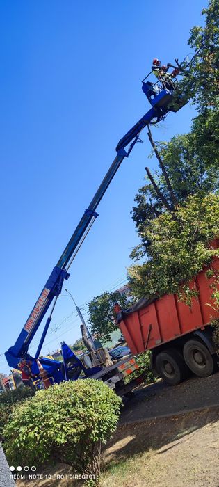 Покос трави кущів газонів Спил Аварійних дерев Автовышка Подрібнення г