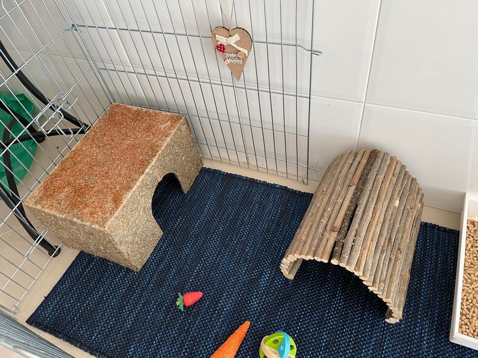 Cerca metal coelho ou porquinho-da-índia