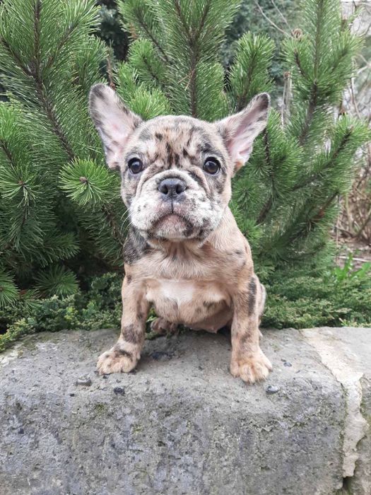 Очень красивая девочка)