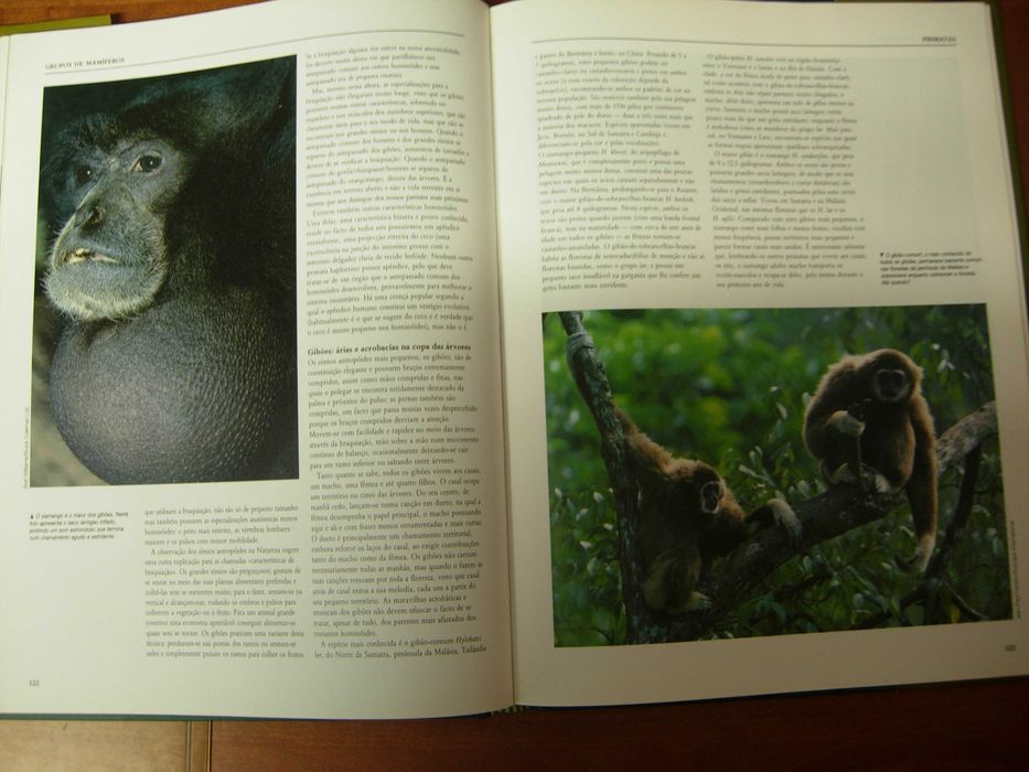 Enciclopédia de Animais Mamíferos