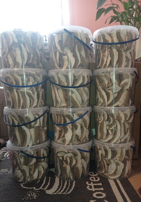 Грибы белые сушеные без песка Закарпатье