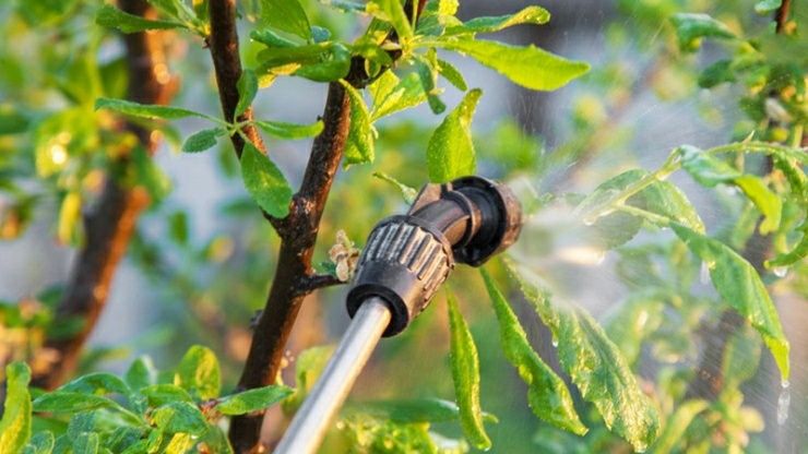 Обробка саду, територій , обприскування