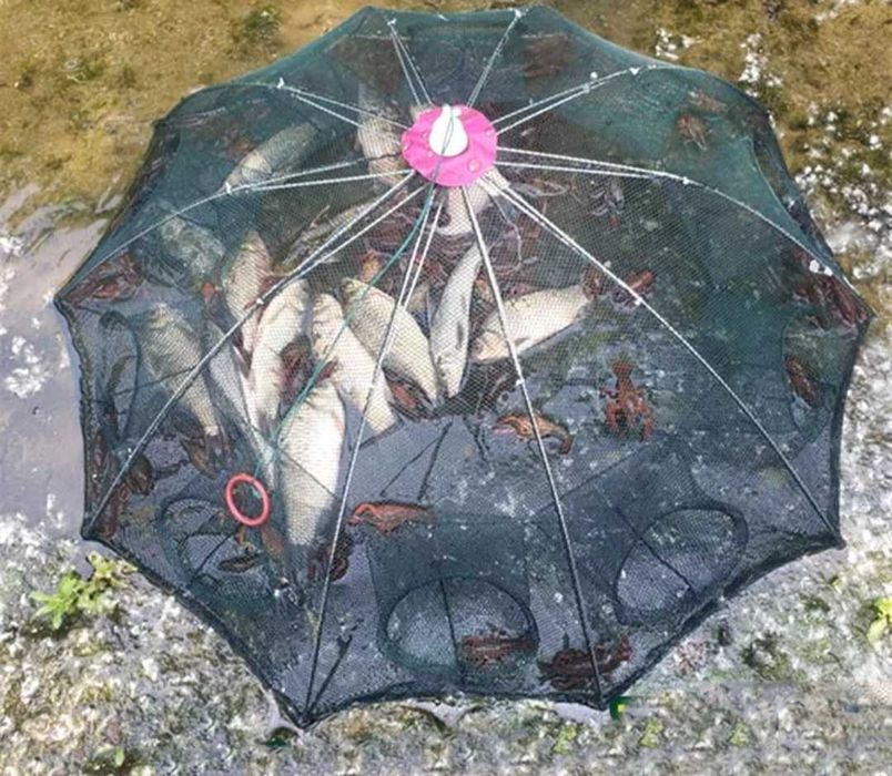 Siatka na ryby do odławiania ryb parasolka żywca 8 otworów