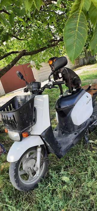 Yamaha Gear 4Т Ямаха