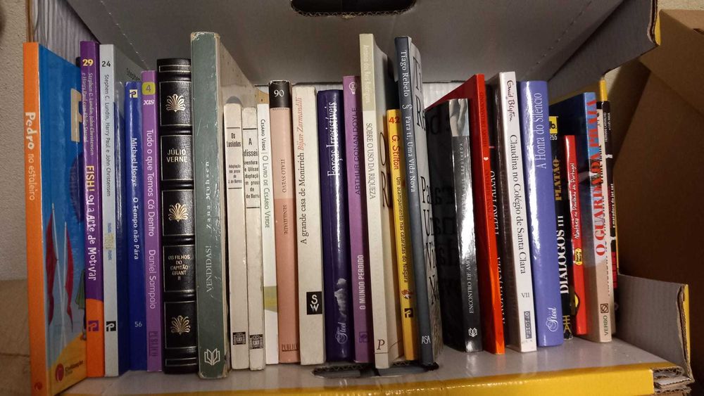 LOTE 3 - LIVROS Diversos - Vendidos EM SEPARADO - Individualmente