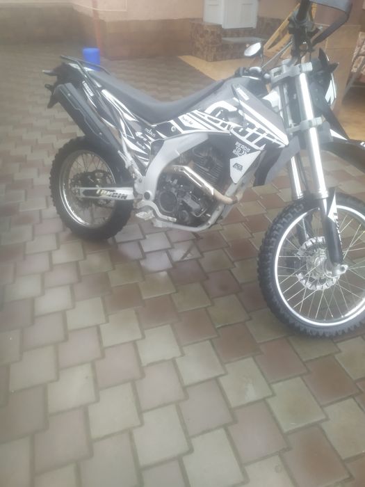 Продам LONCIN.Лося.