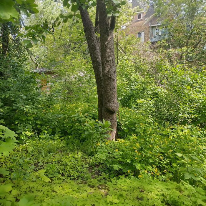 House by the address (area 90 m²) - Atlanta.ua - photo 2