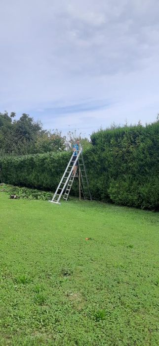 Usługi ogrodnicze CEDR