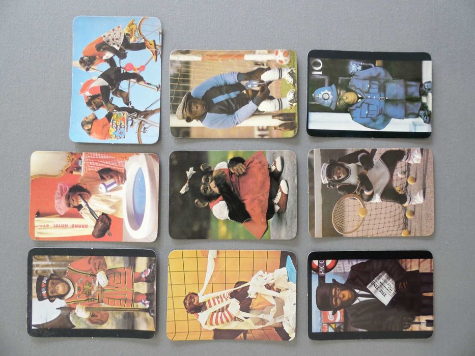 Calendários Animais Diversos