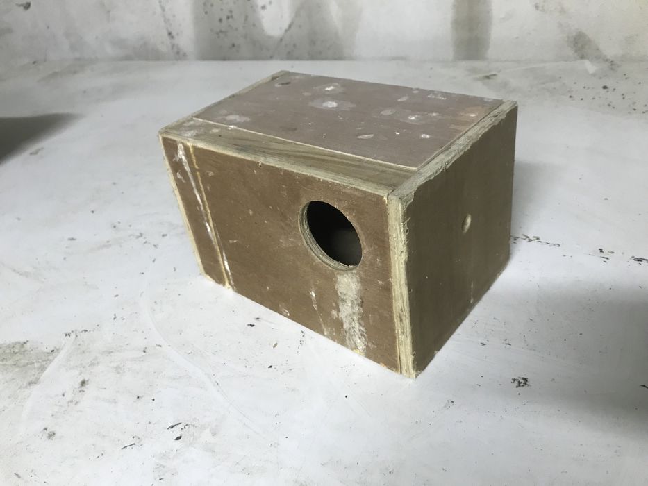 Ninhos para ceder em bom estado