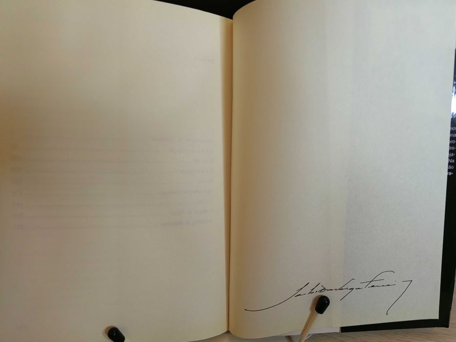 A Colcha de Mármore de David Leavitt