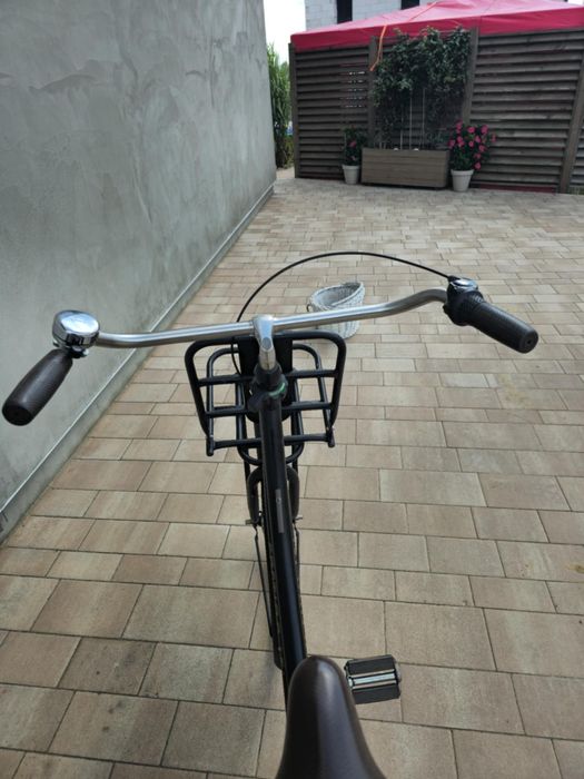 Holenderka Cortina L4