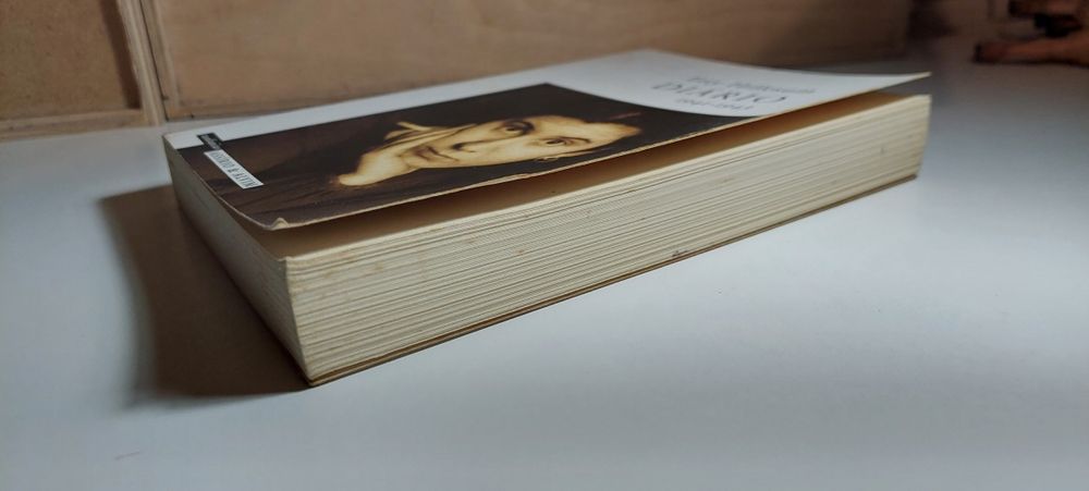 Diário - Etty Hillesum (1941-_1943)
