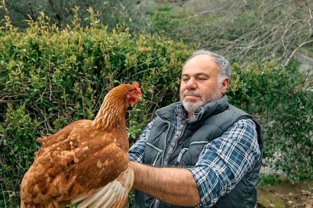 Кури несушки! Продам ! Доставка безкоштовна!