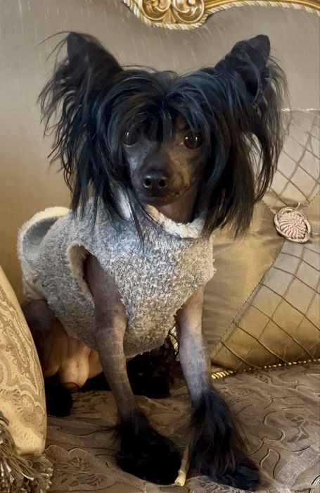 Мальчик КХС. Голый.