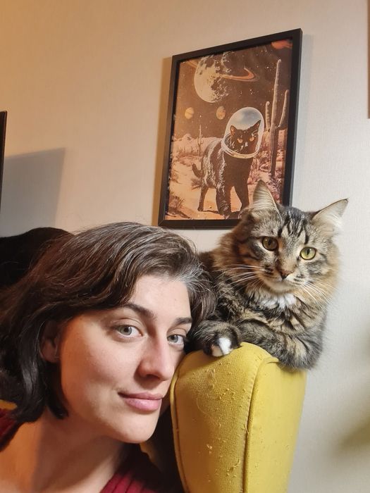 Перетримка тварин котів зооняня Мінська