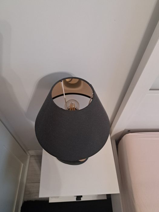Lampki pies balon
