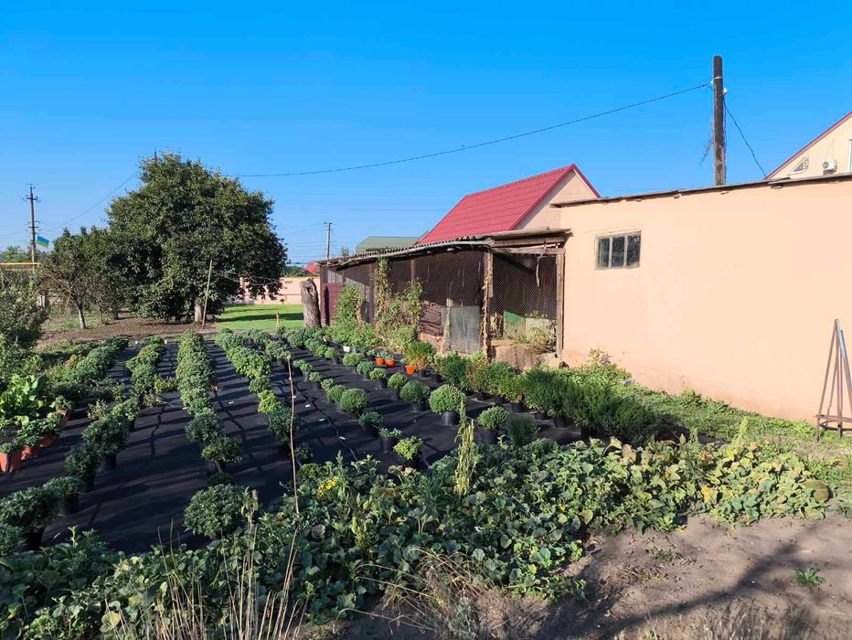 Дом 3 комн., 15 сот, Нерубайское рядом Усатово