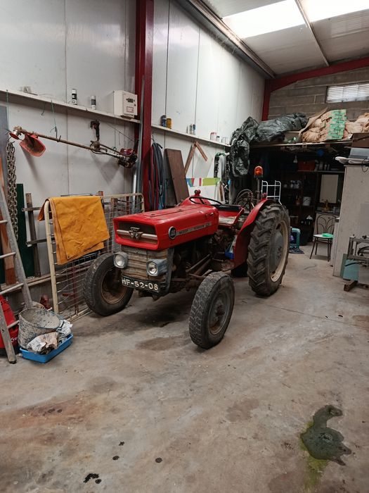 Trator Massey Ferguson 135
