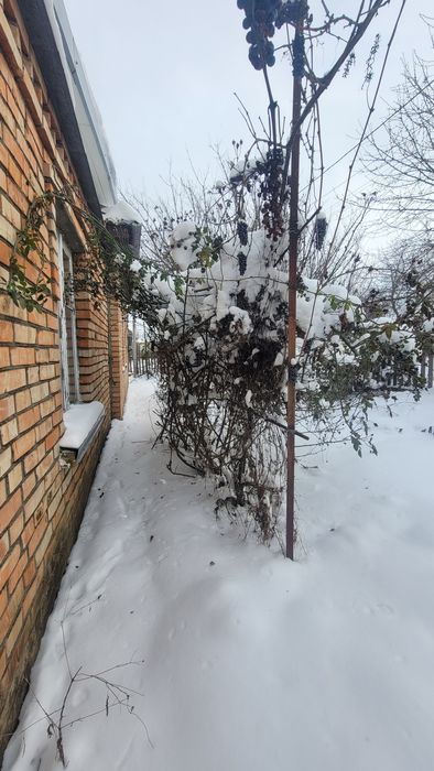 Продам будинок на Ворошилівці.