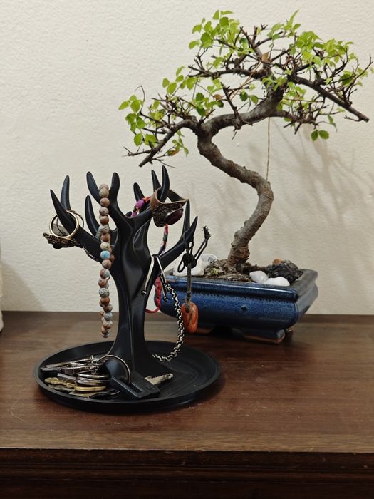 Organizador de jóias e acessórios moderno em forma de árvore