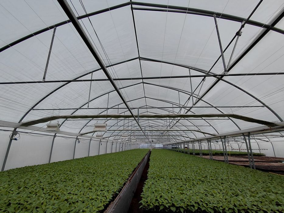 Tunel foliowy blok pompowany