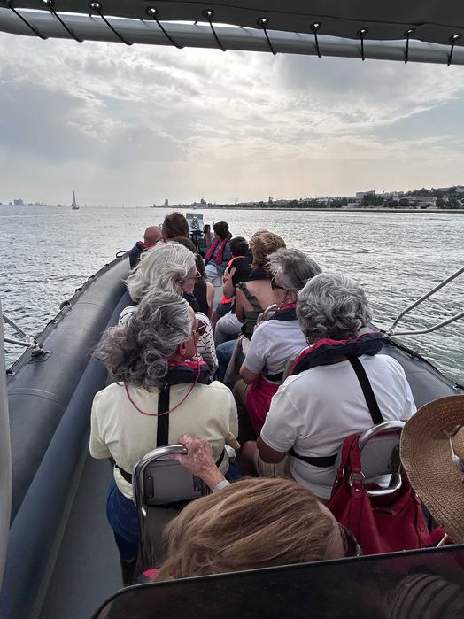 SEMI-RIGIDO SETAMAR 8.35m - Motor Honda 250cv