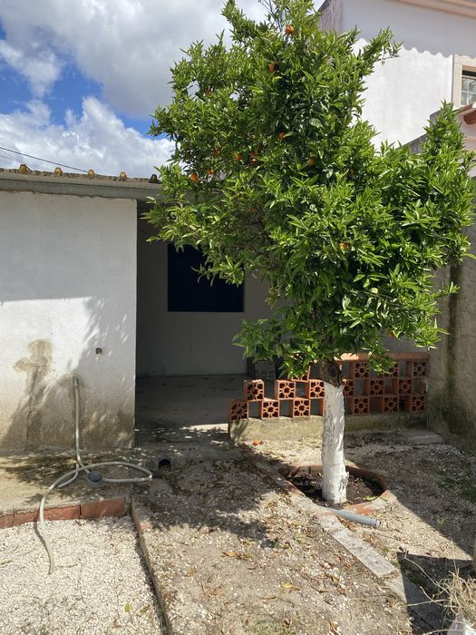 Oportunidade de Investimento | Imóvel com Projeto em Regularização – Tapada