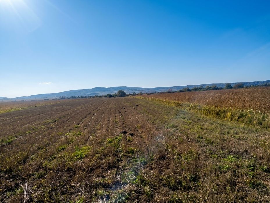 Продаж ділянки 30 соток (ОСГ) біля Львова