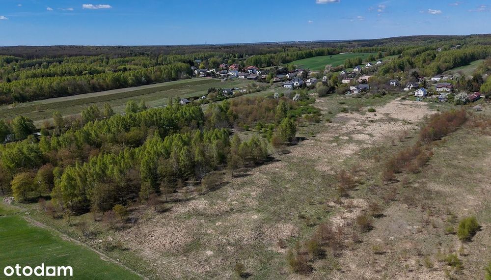 8 279 m² w zielonej okolicy :) - Widok 4